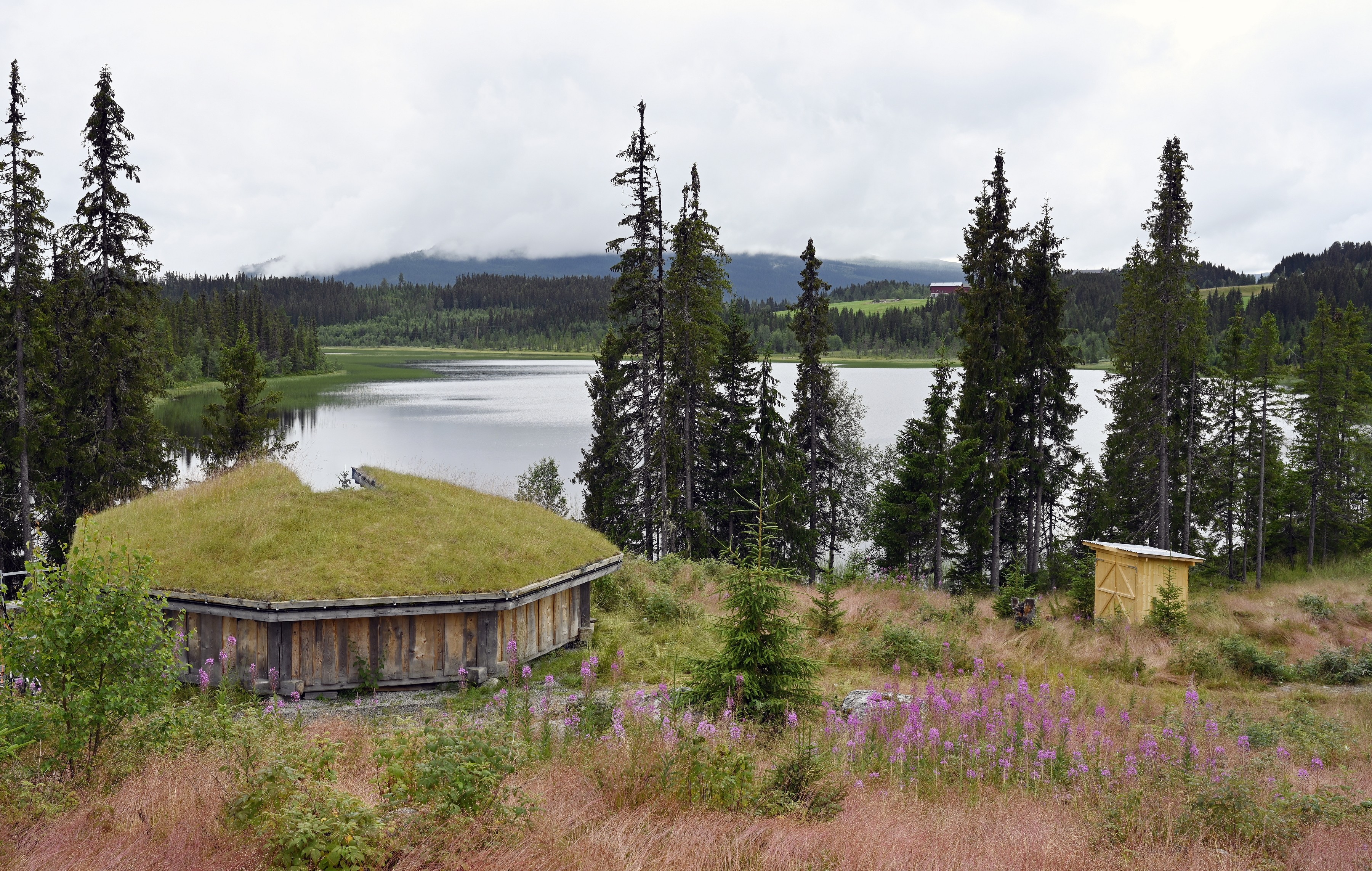 4H sin gapahuk ved Bergstjern