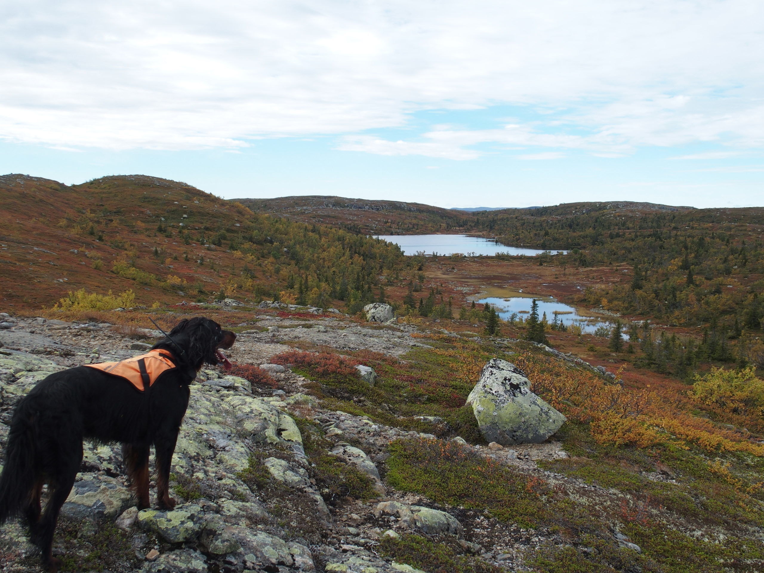 Jakt og fjelltur kan gjerne kombineres