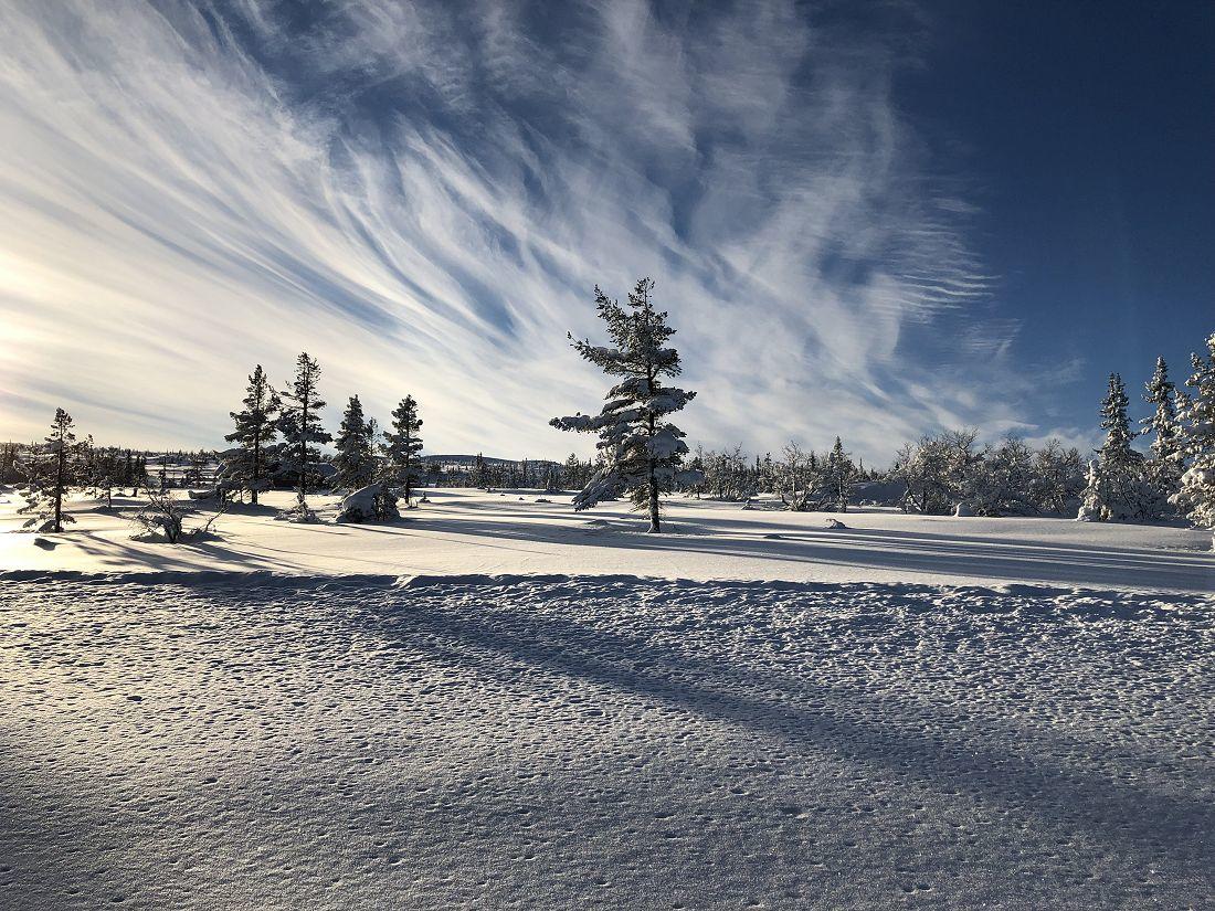 Gode forhold for skigåing i Fledda og Hedalsfjella. Foto: Harald Arne Haugen
