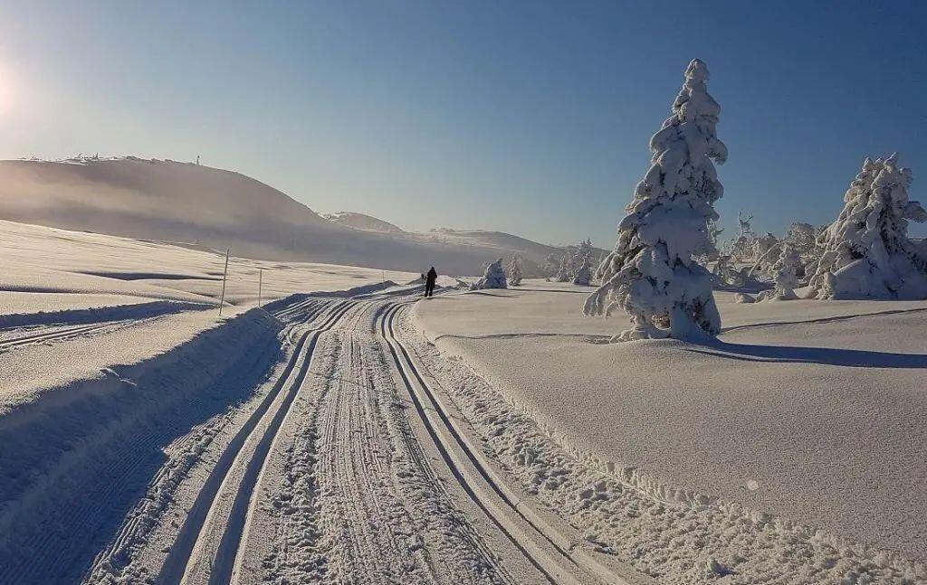 Flotte løyper