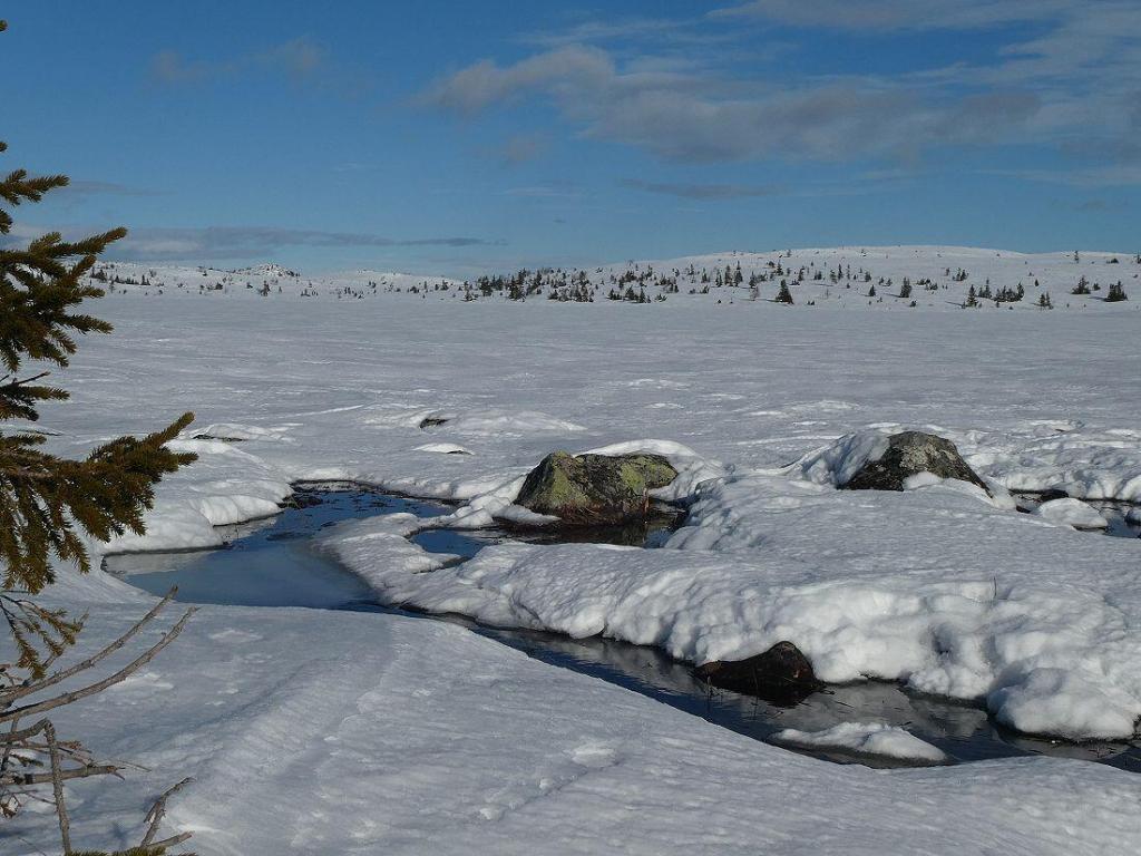 storausttjern_2 Storausttjern