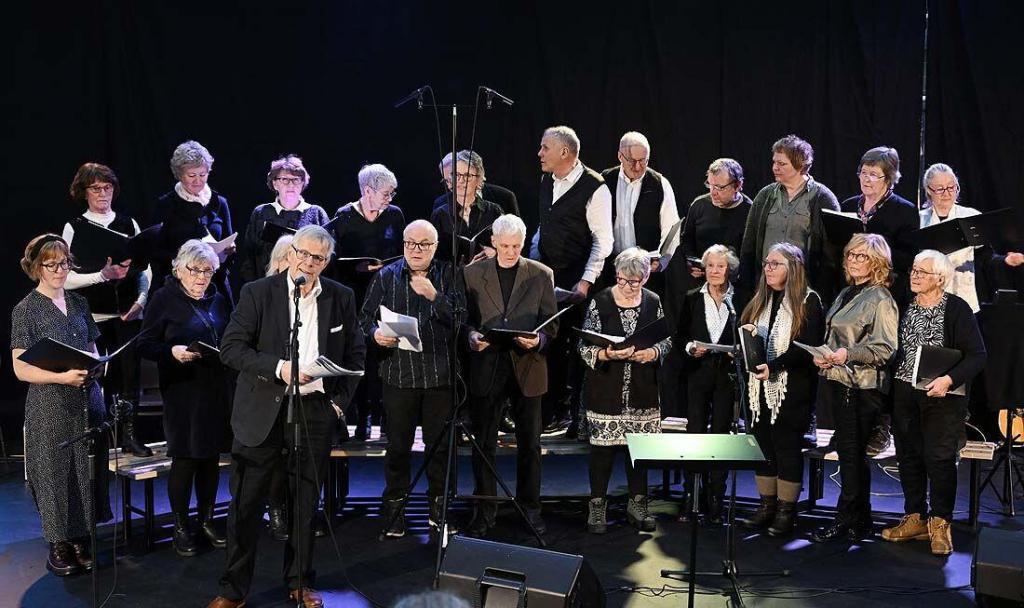 Sør-Aurdalkoret med dirigent Jan Henrik Bakke Foto: Arne G. Perlestenbakken