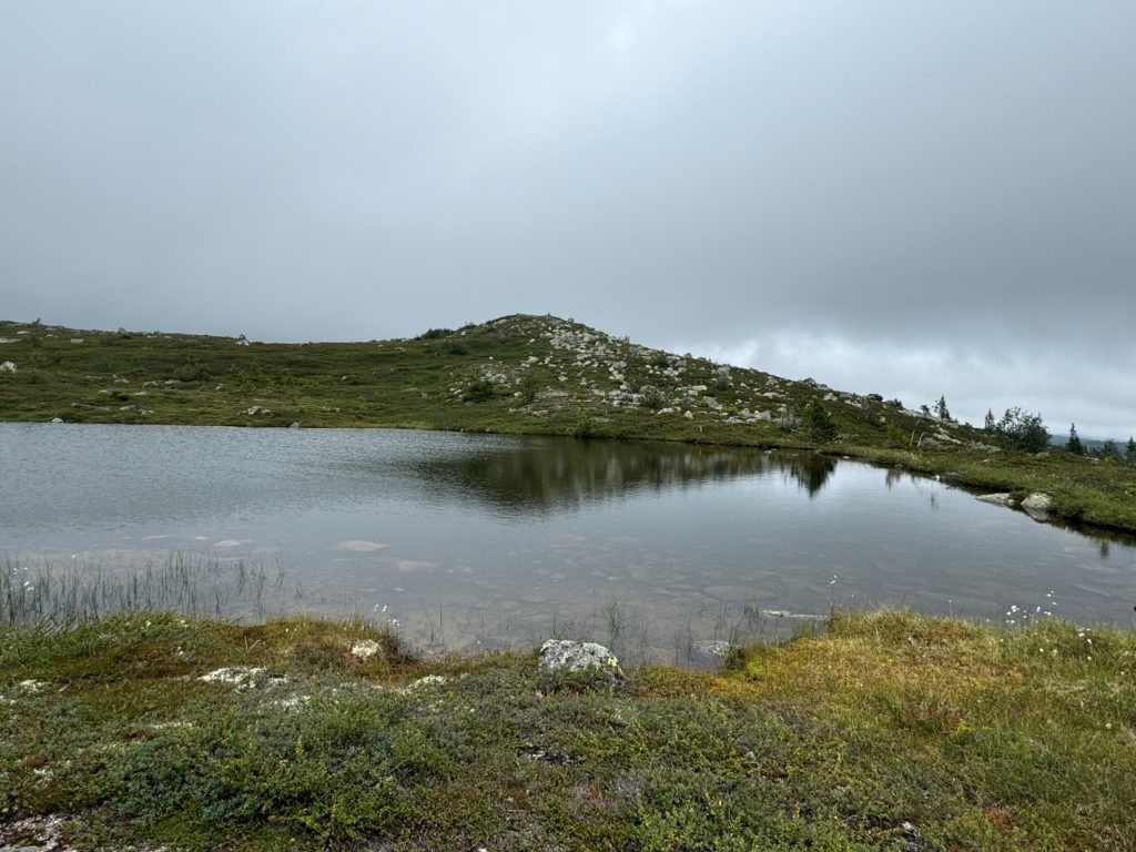 Foto: Marte Gøril Myrvang Ildjarnstad