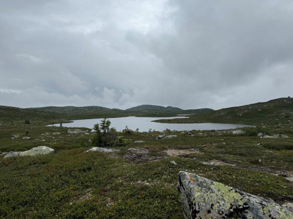 Foto: Marte Gøril Myrvang Ildjarnstad