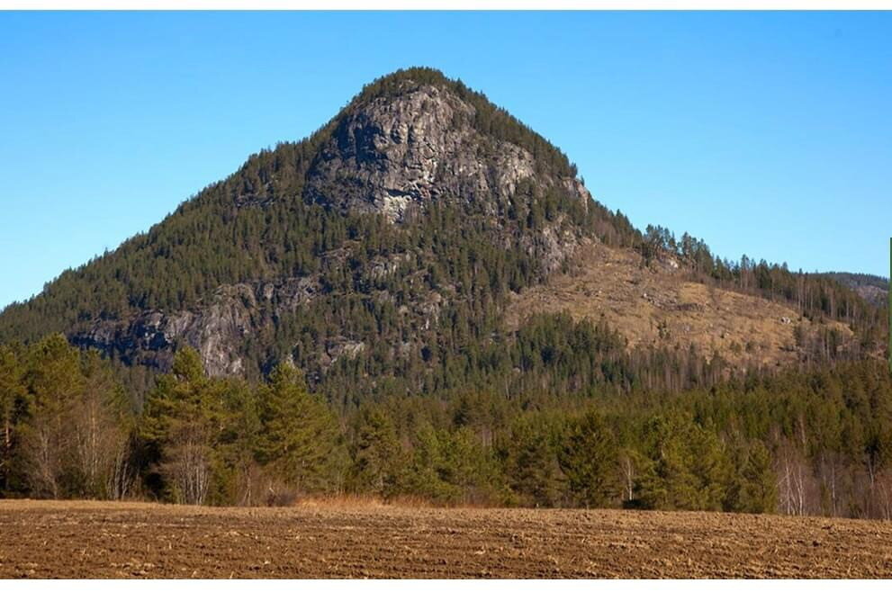 Puttekollen