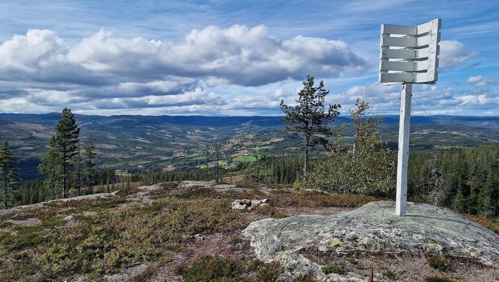 Omsrudkollen. Foto: Arne Heimestøl