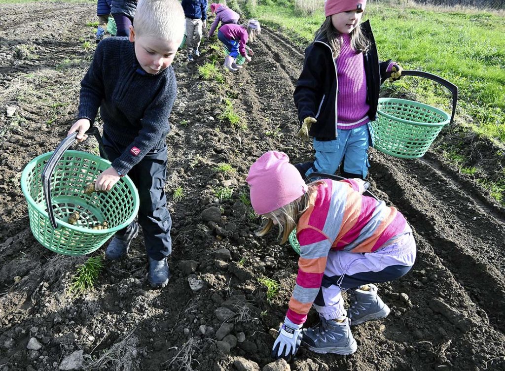 Foto: Arne G. Perlestenbakken