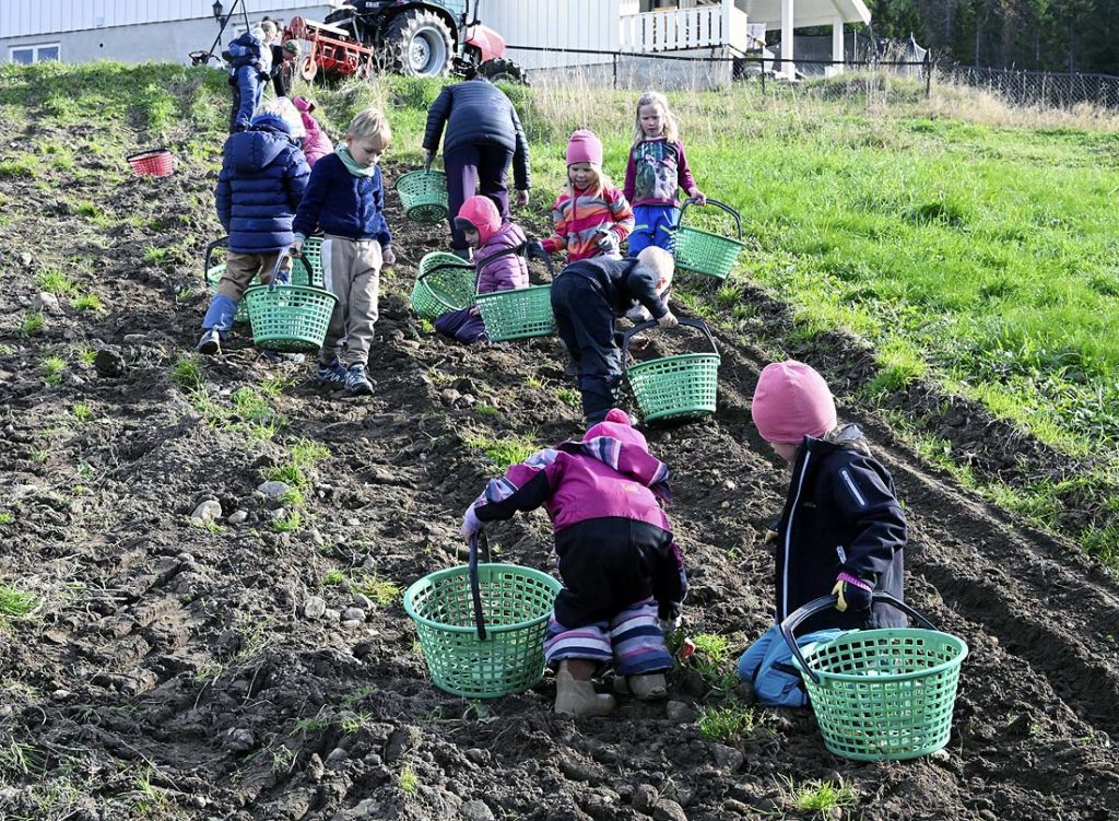 Foto: Arne G. Perlestenbakken