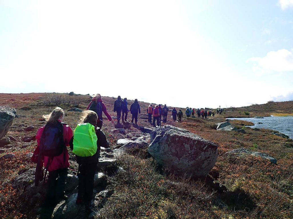 Ny rute Søbekkseter til BjørkeFoto: Anne Ingunn Grønhaug