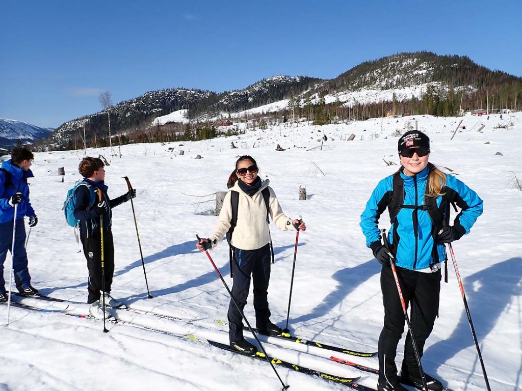 Nye hogstflater ga nye skiturmuligheter Foto: Anne Ingunn Grønhaug