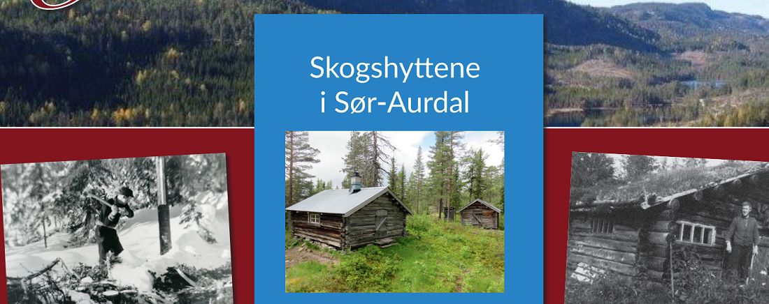 skogshyttene