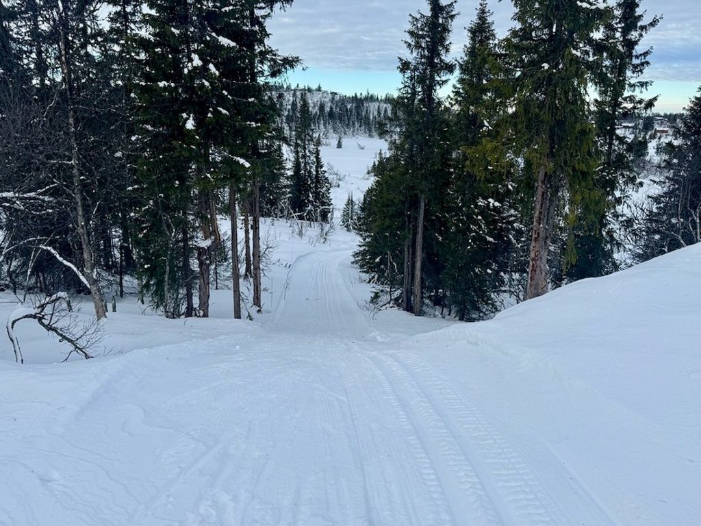 Parkekeringsplassen ved Hedalen Røde Kors sin hytte. Foto: Helge Nordby