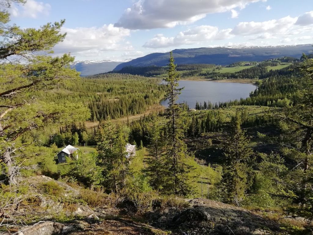 Bergstjern