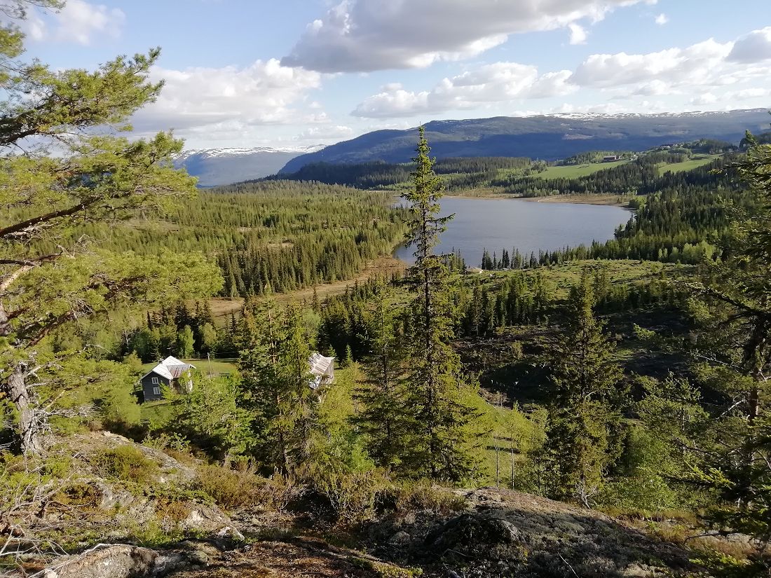 Bergstjern Bergstjern