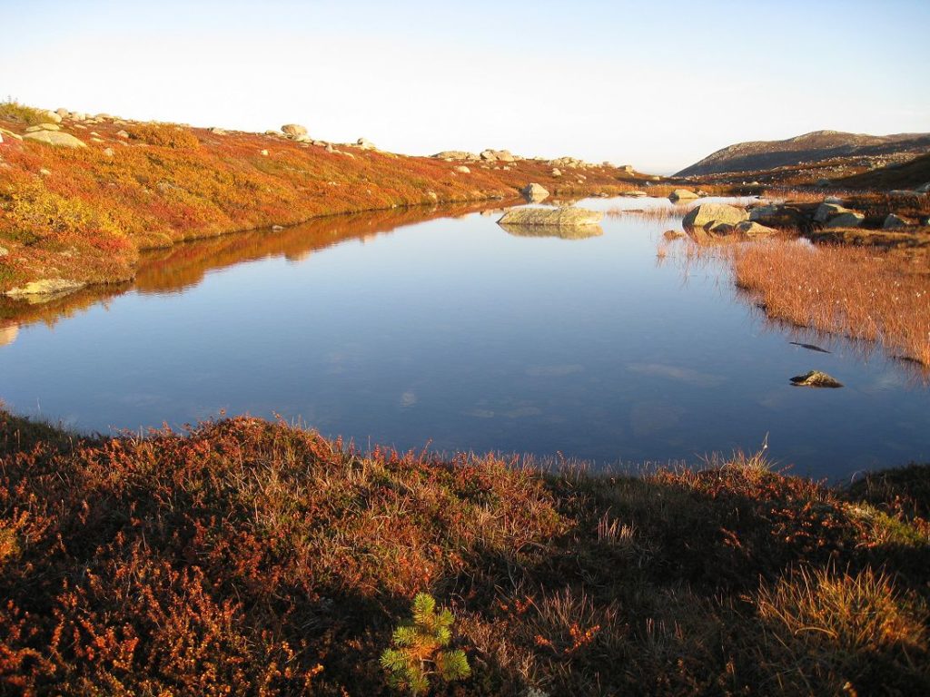Høst i fjellet