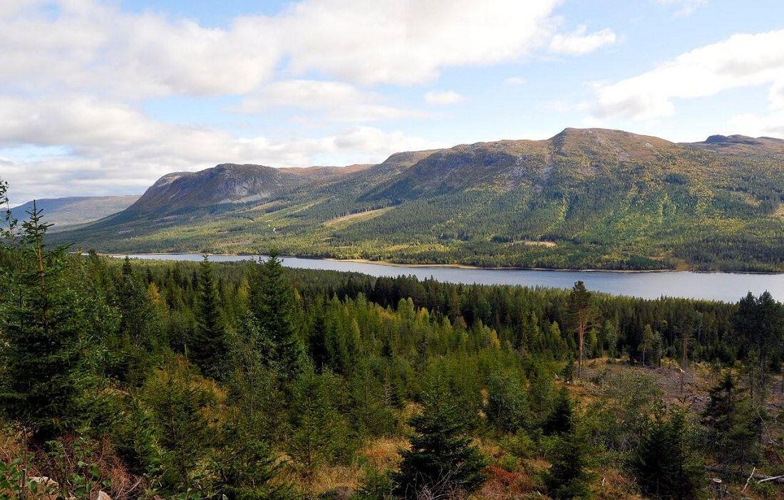 Aurdalsfjorden i Vassfaret. Foto: Arne G. Perlestenbakken Aurdalsfjorden i Vassfaret. Foto: Arne G. Perlestenbakken