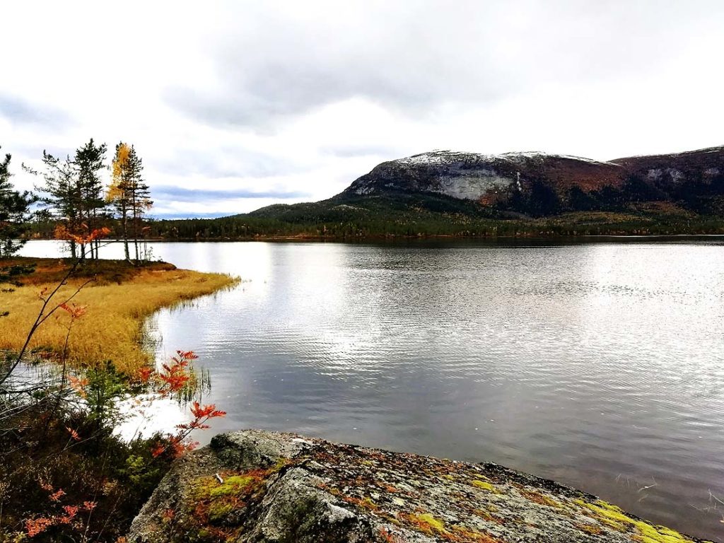 Sandvatnet med Bukollen i bakgrunnen. Foto: Sigrid Haugen