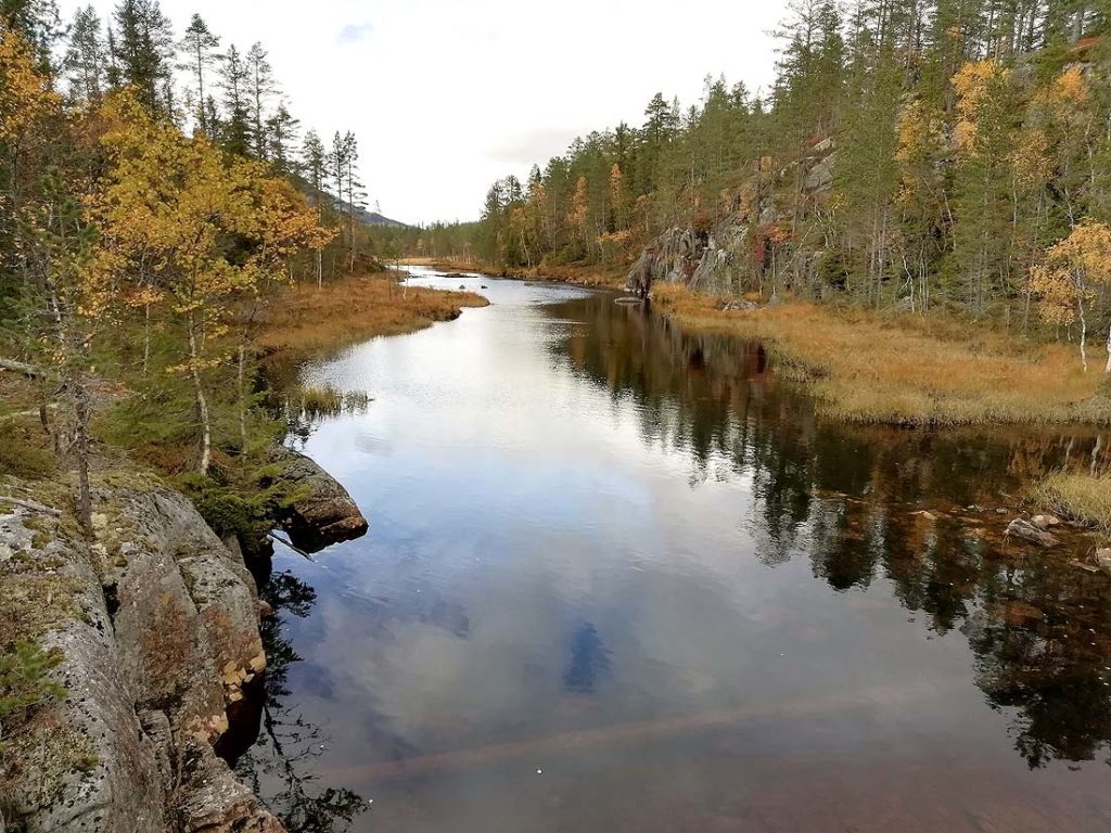 Ved Sandvassdammen.Foto: Sigrid Haugen