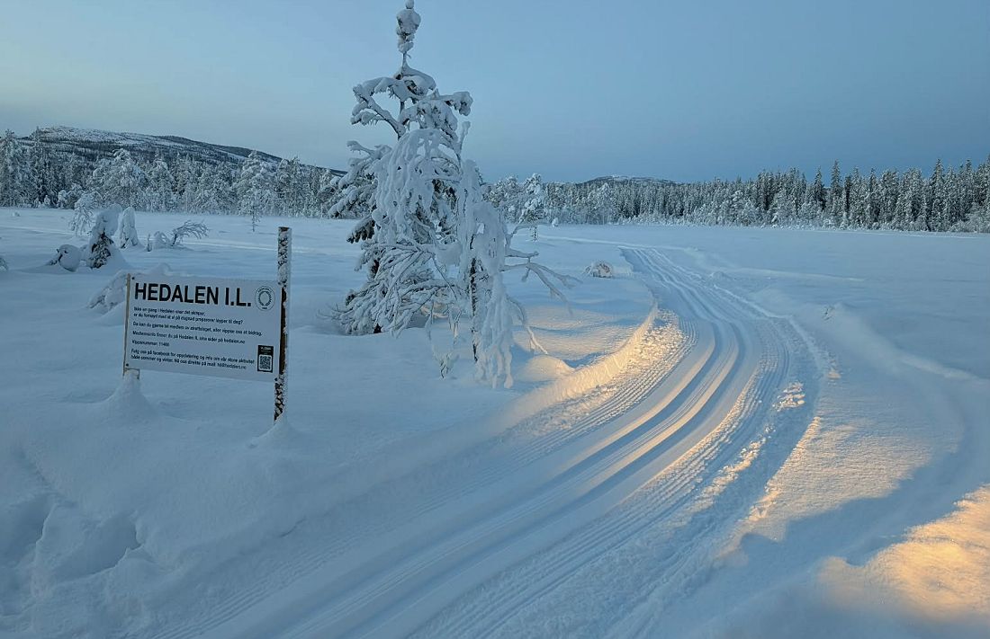 IMG_20260117_100138[1]